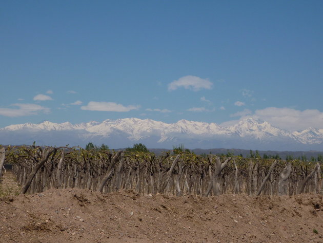 Besneeuwde bergen bij Mendoza