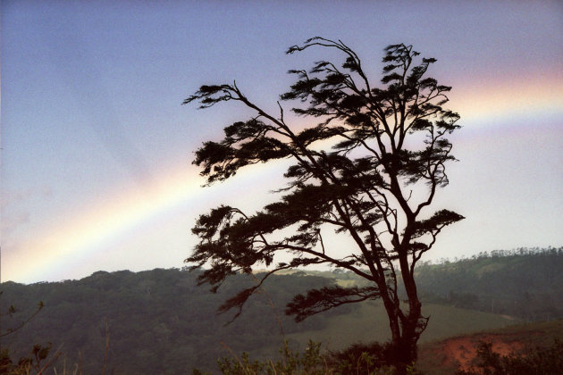 landschap Costa Rica