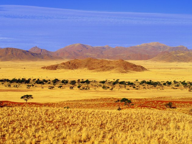Namibisch landschap