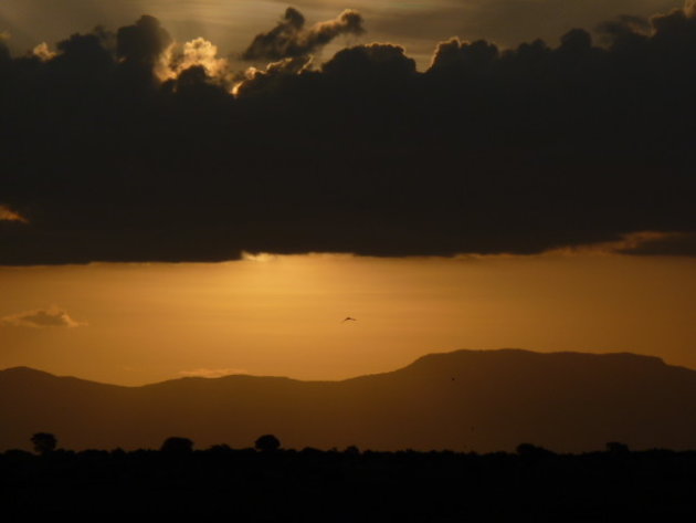 zonsondergang Tsavo