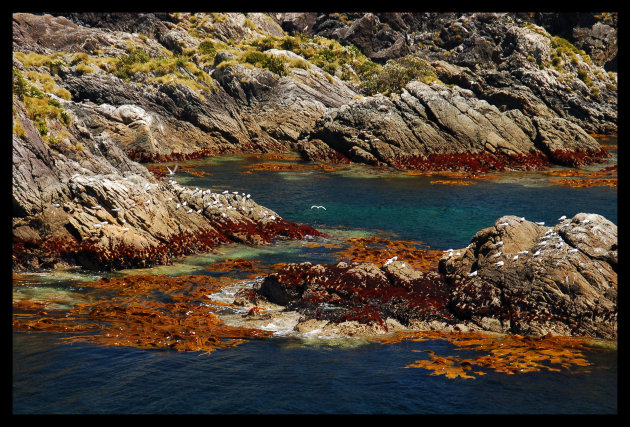 Milford Sound rotsen.