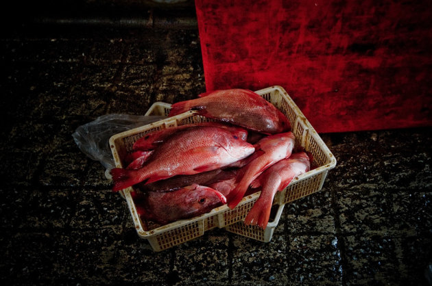 Fisch market of Penang