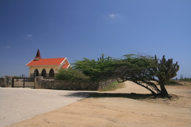 Typisch Aruba