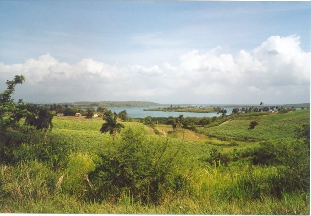 Cubaans landschap