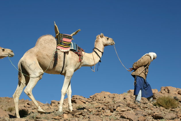 Tuareg routes