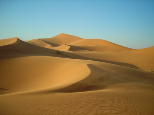 Zandduinen van Sahara