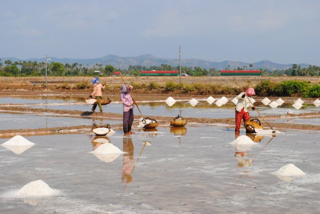 Rijstvelden in Cambodja