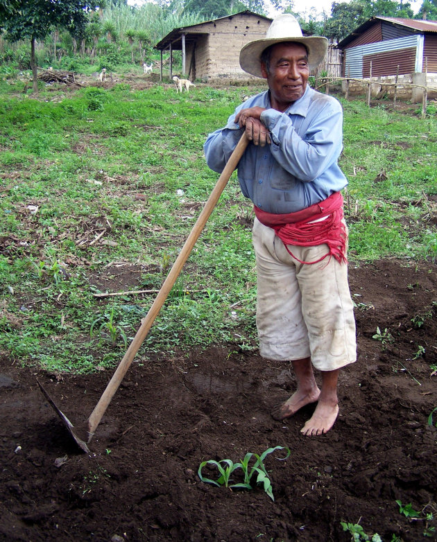 Guatemalteekse boer