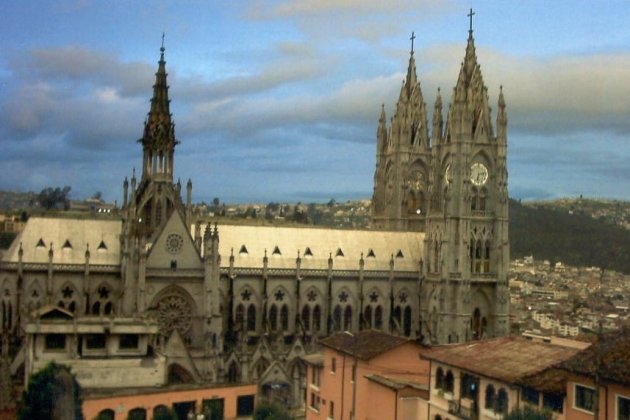 Quito basiliek