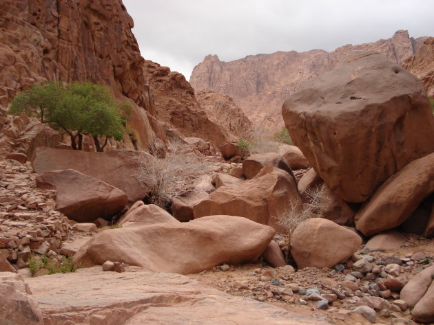 Sinai landschap