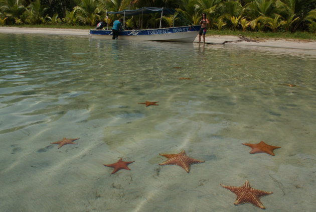 Playa de Estrellas
