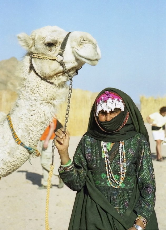 Camel Lady