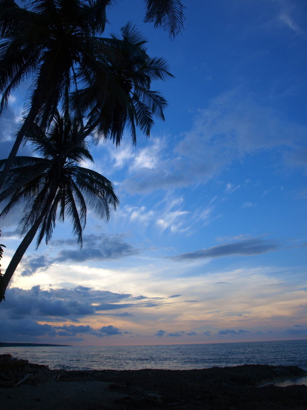 Palmbomen met ondergaande zon