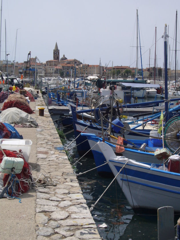 Gekleurde bootjes voor het oude centrum van Alghero
