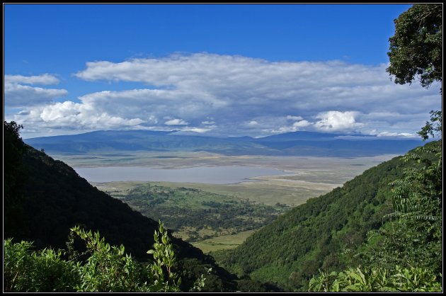 Ngorongoro - uitzicht op de kraterbodem