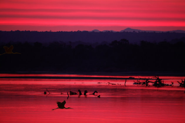 Sunset at the Luangwa River