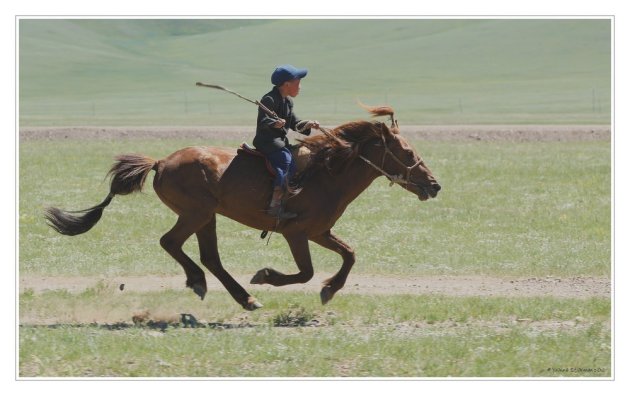 Training voor de paardenrace van de Nadaam