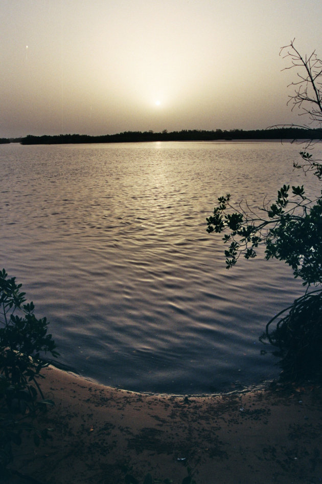 Zonsondergang over de mangroves