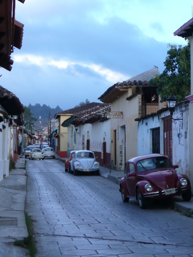 Kevers op de straat van San Cristóbal de las Casas