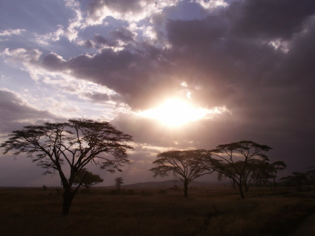 Donkere lucht Serengeti 1