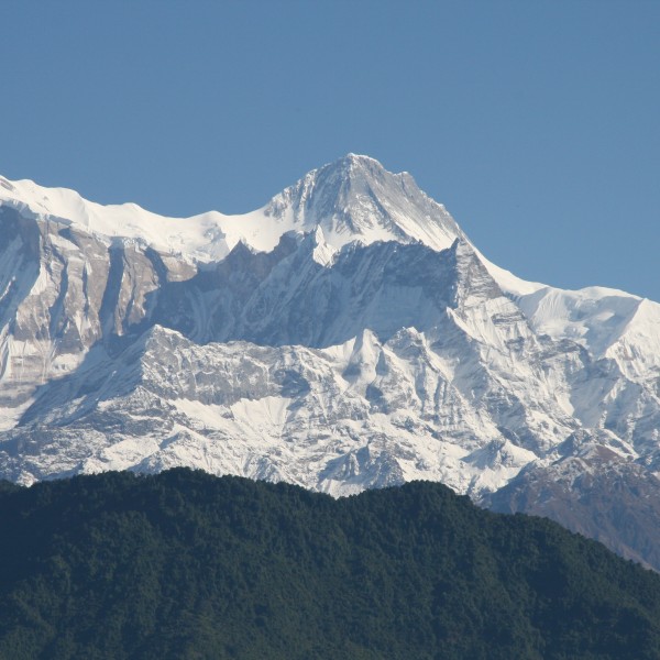 '269953' door Himalaya