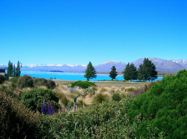 Lake Tekapo Nieuw Zeeland