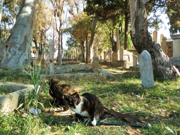 Turkse begraafplaats