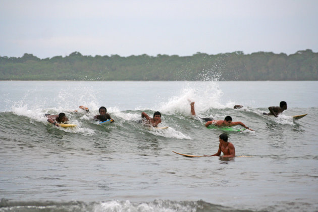 Lokale surfers