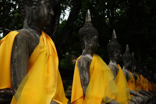 Boeddha's in Ayutthaya 