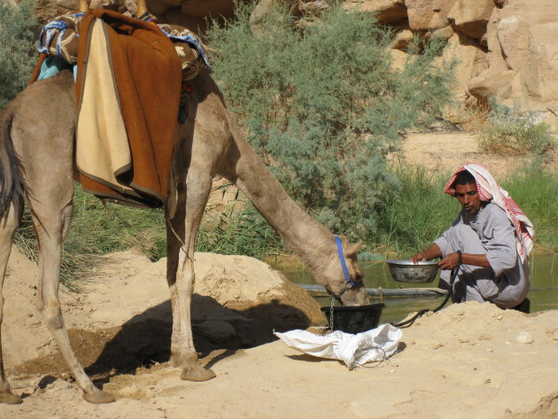 Bedoeien met kameel bij waterbron