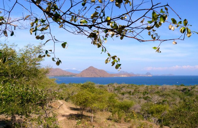 Uitzicht vanaf Komodo Island 