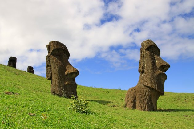 Moai bij Rano Raraku