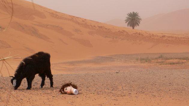 Speelgoed in de woestijn