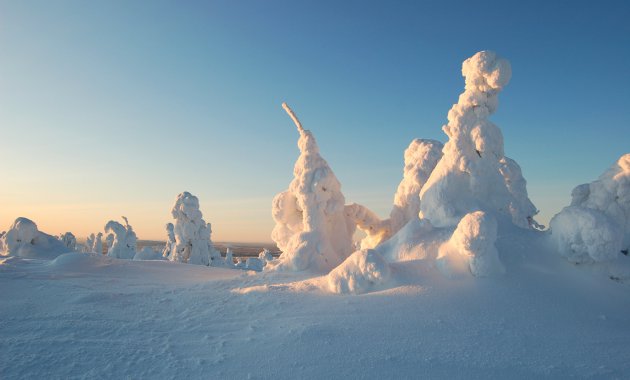 Sculpturen van sneeuw in een Fins Lapland