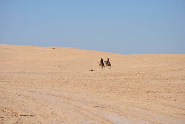 2 mannen op dromedarissen in de Sahara woestijn