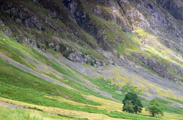 landschap in Schotland