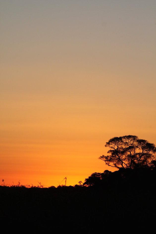 sunset in the Pantanal