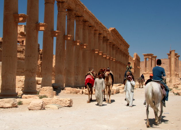 Palmyra by day