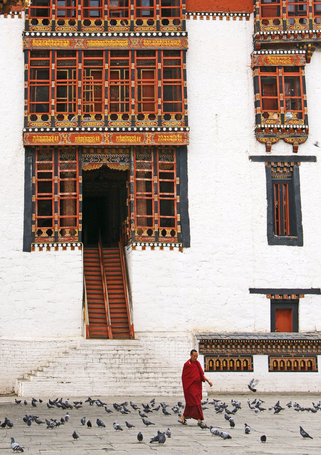 Duiven voeren in de dzong