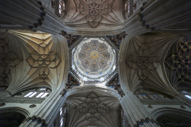 Plafond Kathedraal van Salamanca