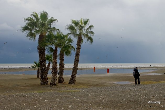 Strand Larnaca