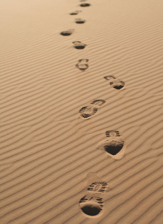 footprints in de Namib