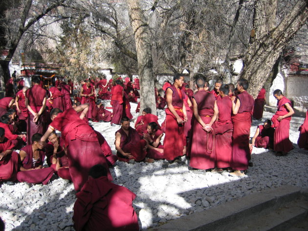 Monniken in het Sera klooster
