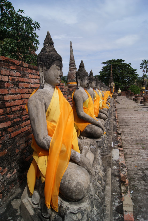 Budha's te Ayutthaya Wat Mongkol