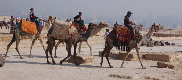 Jong geleerd.... - jongens op kamelen, Cairo