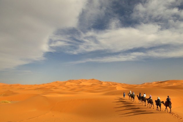 Kamelentocht in de Sahara