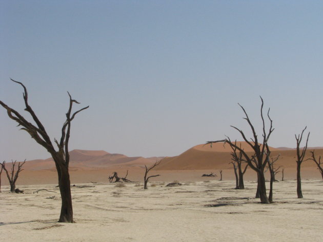 Deadvlei in Namibie