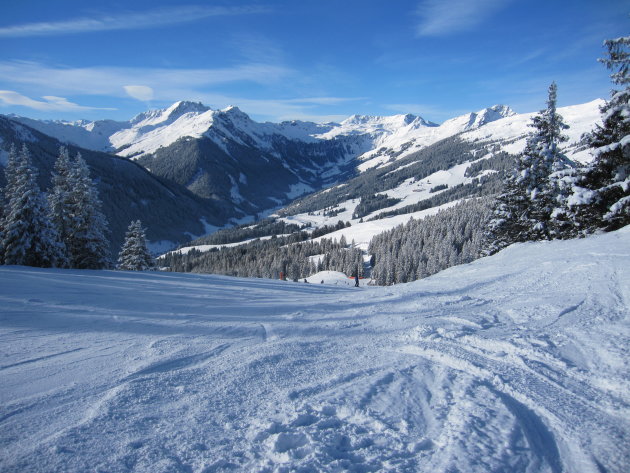 Landschap tijdens een ski-afdaling