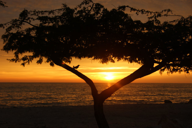 Sunset on Eagle Beach
