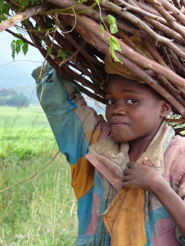 Kind draagt brandhout in Mulanje Malawi